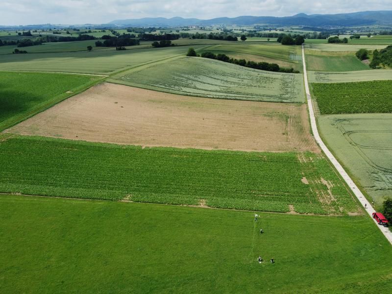 Agricultural landscape in Rhineland-Palatinate.  - Copyright Carsten A. Brühl