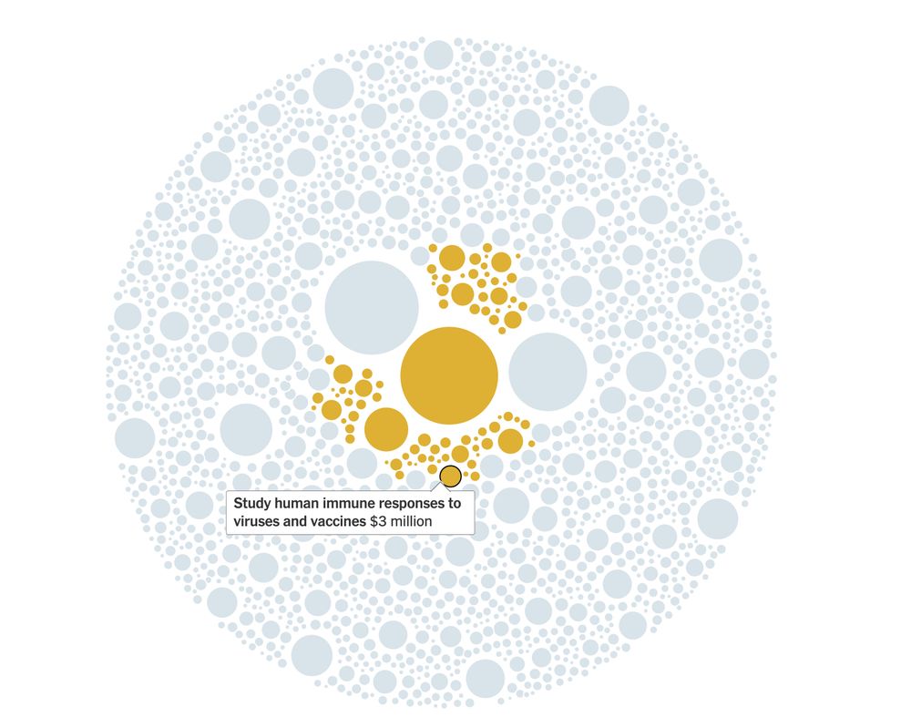 A chart showing cancelled NIH grants