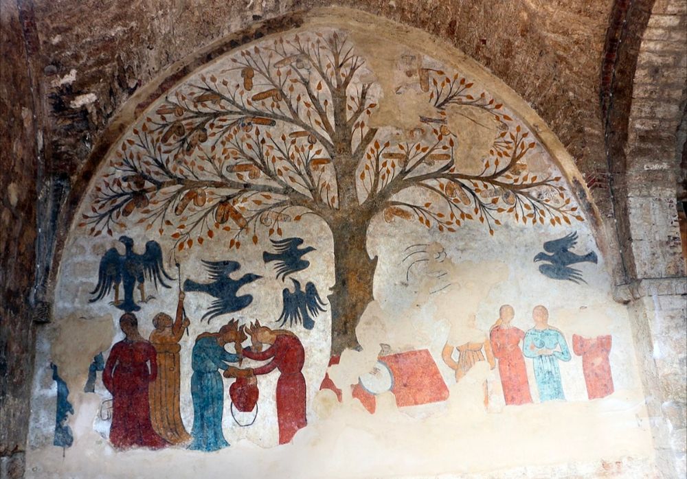 Alt txt: A medieval fresco depicting a tree of phallic male genitalia surrounded by women and birds.