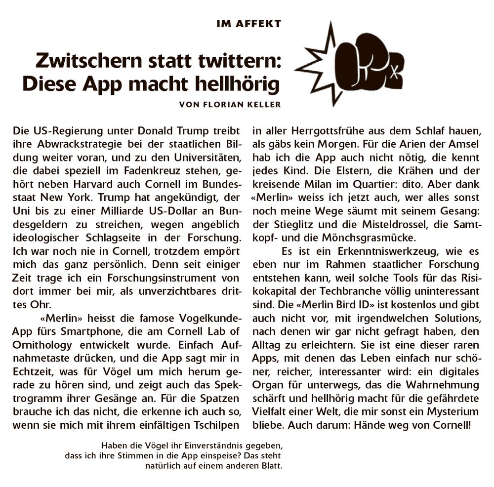 Screenshot des verlinkten Texts.