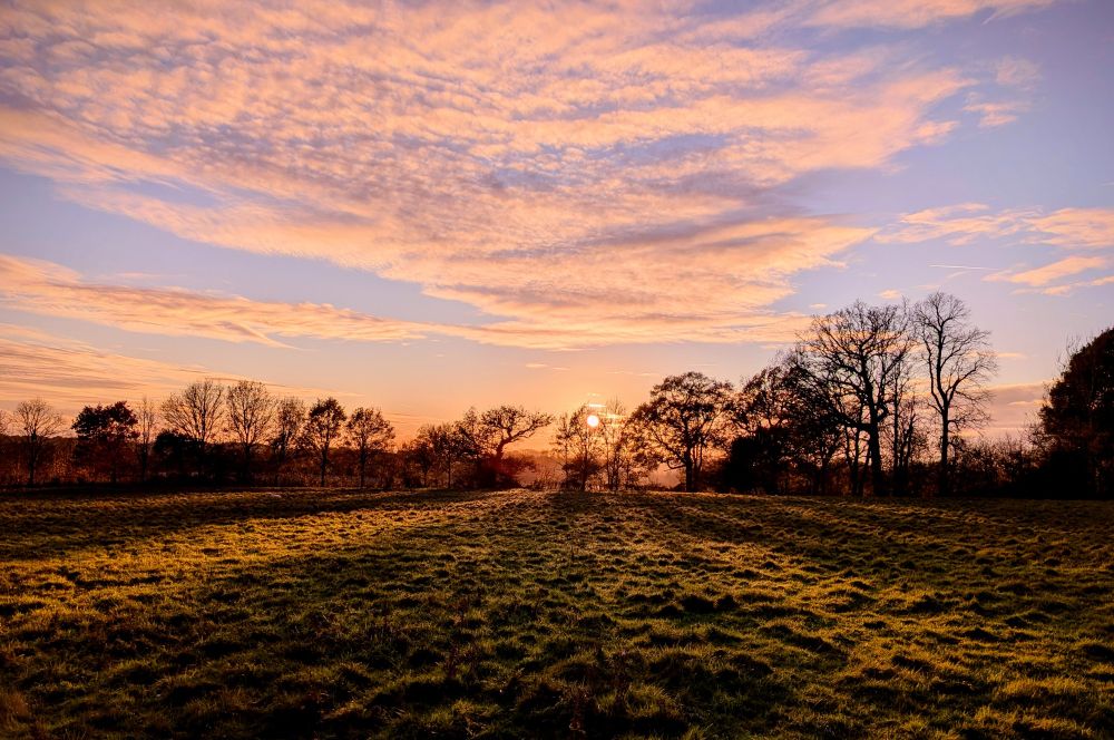 A photo of a sunset seen across a field, with the silhouettes of trees on the horizon. The sun The clouds have a golden, orange colour which is also reflected onto the field
