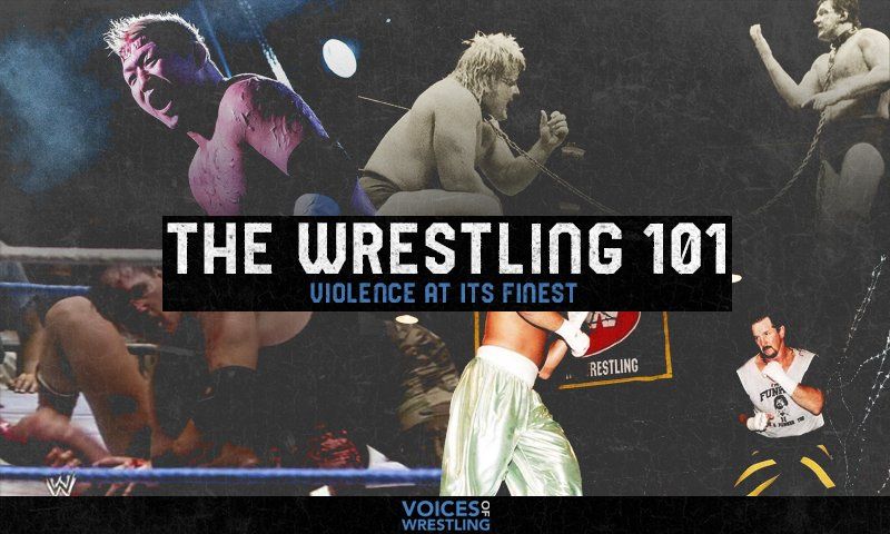 The Wrestling 101: Violence at Its Finest