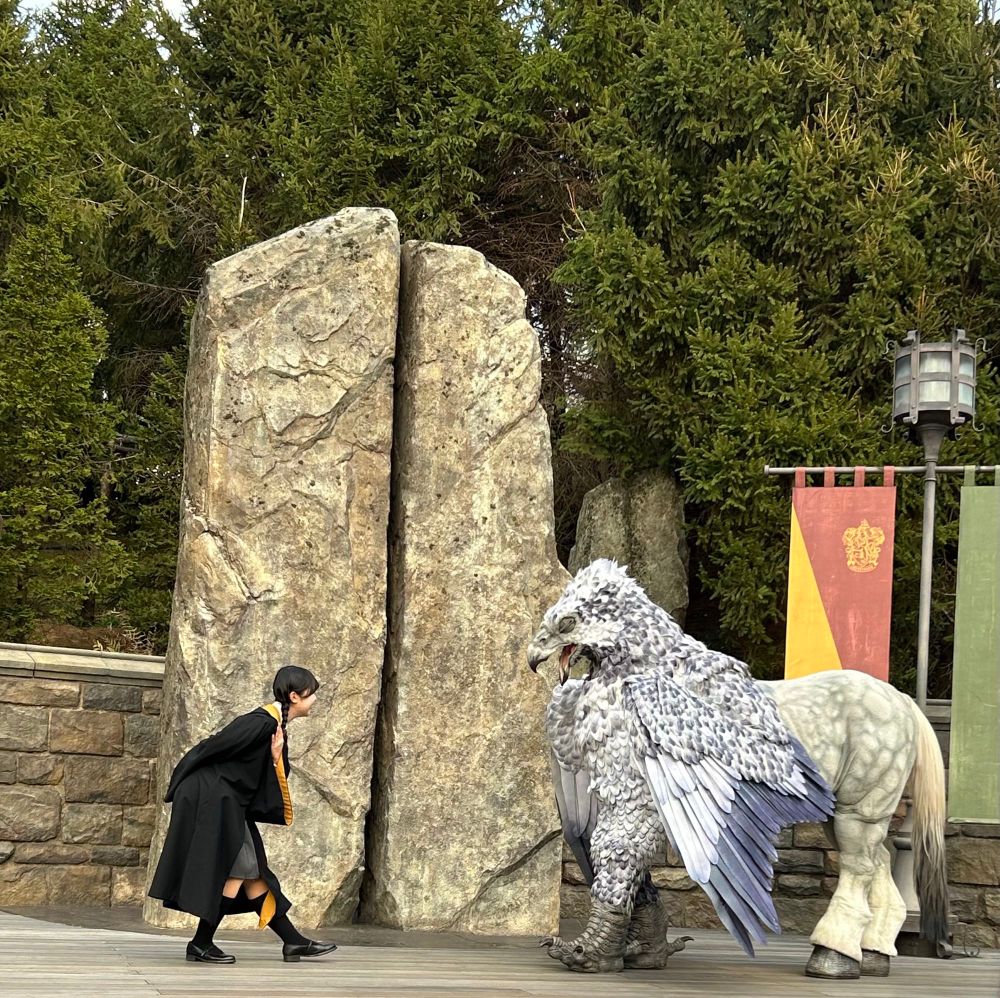 ショー
ヒッポグリフにご挨拶 すごい良かった