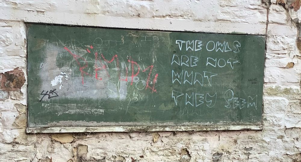 A chalkboard on the whitewashed wall of an old building. On the right-hand side of the board are the words “The owls are not what they seem”