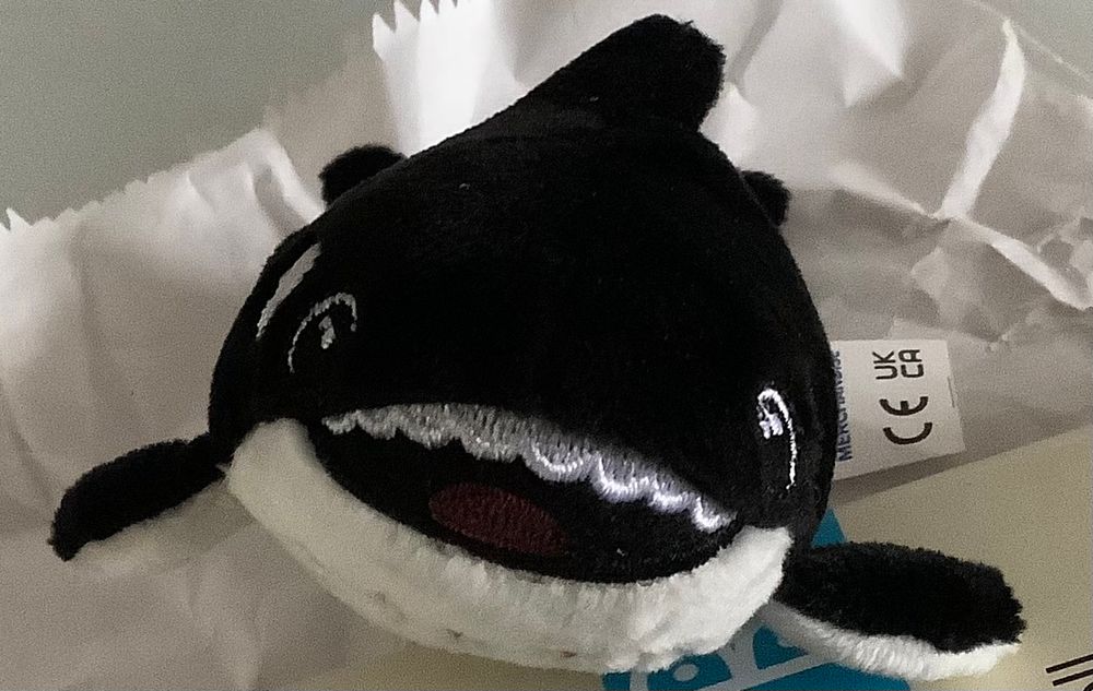 A tiny stuffed orca toy with a slightly psychotic grin