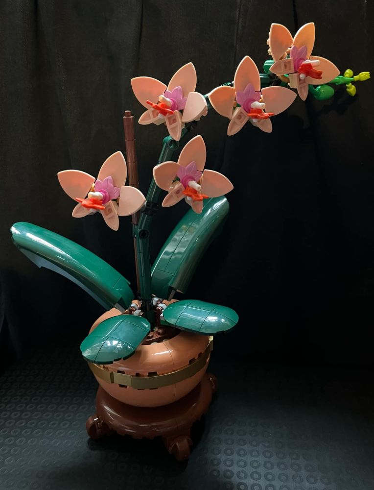 Lego Botanicals Mini Orchid set: five peach-coloured orchids on a curved stem, with four green leaves, sitting in a dark peach pot