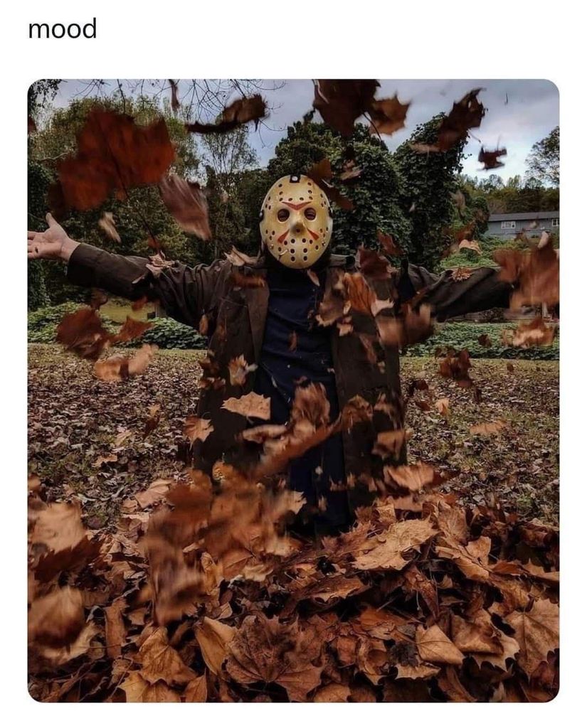 Pic of Jason Vorhees jumping out of a leaf pile, text reads mood 
