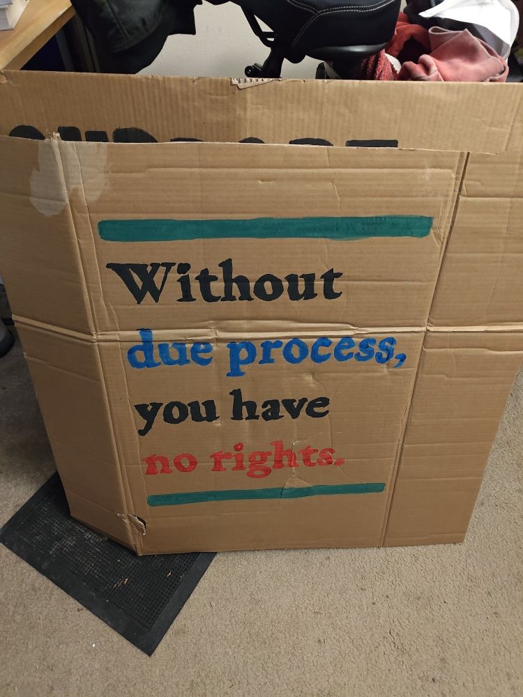 Protest sign with text: Without due process, you have no rights.
