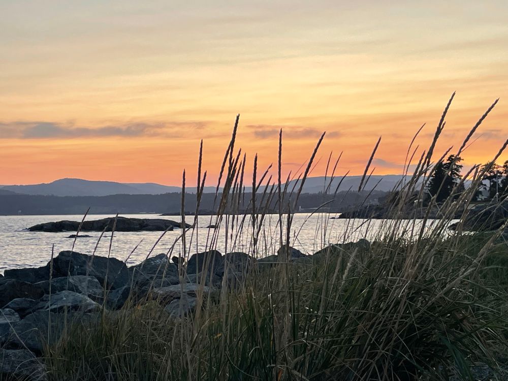 Sunset over water with grass in foreground 