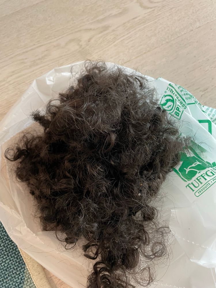 Most of that hair cut off and sitting in a compost bag.