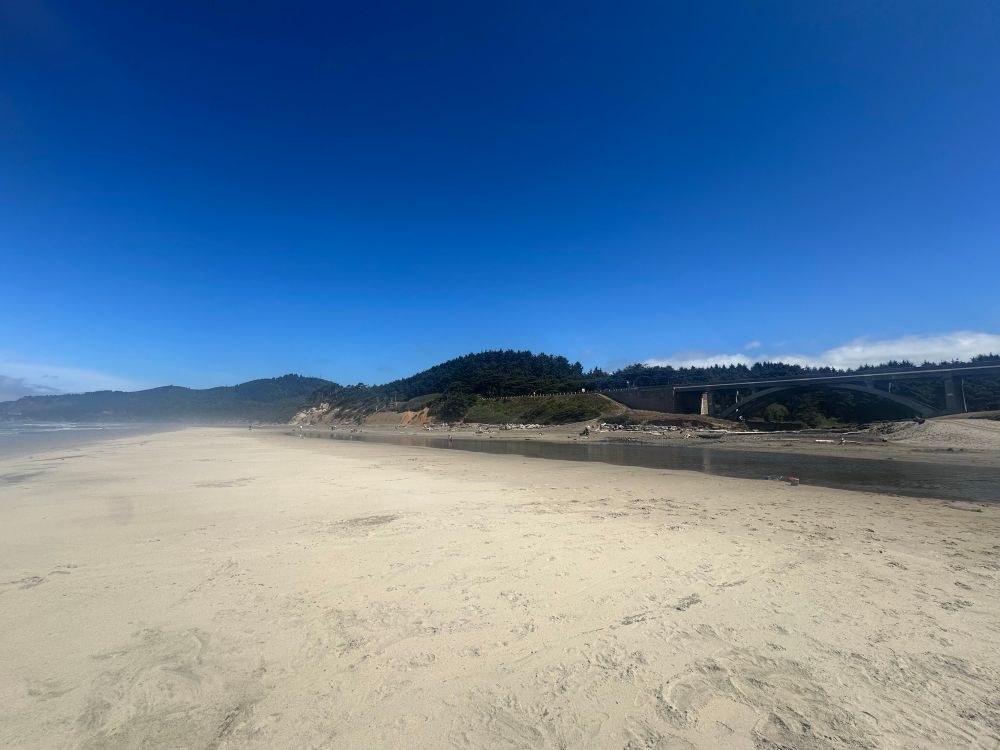 Photo of an Oregon beach at daytime