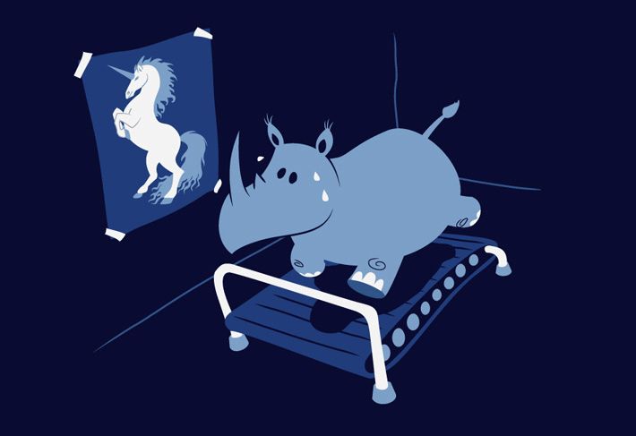 Rhino on treadmill looking at unicorn 