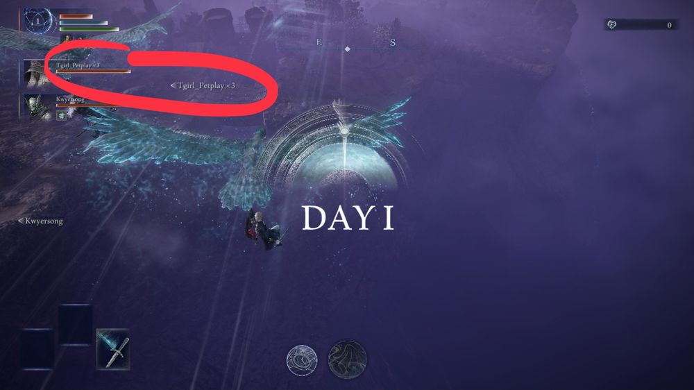 Nightreign screenshot. Dropping in at the start of a run, with a matchmade party member called “Tgirl_Petplay <3”