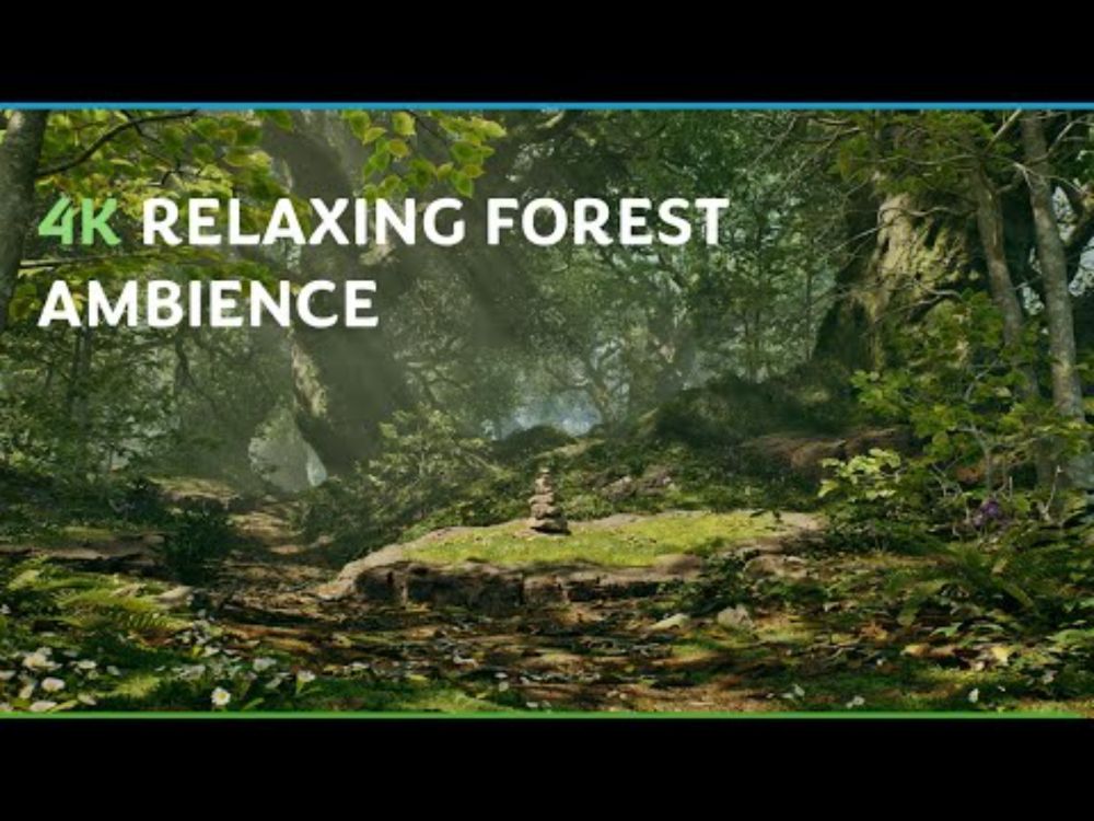 Relaxing Forest Ambience with Bird Song | Summer Day in Cevennes National Park