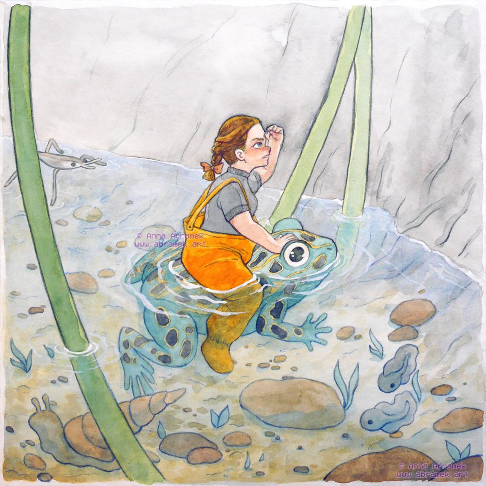 An illustration of a tiny girl in watertight pants and a fitted shirt riding a frog in a pond. The girl looks up and squints, as in front of her is a very steep slope of smooth stone. 
