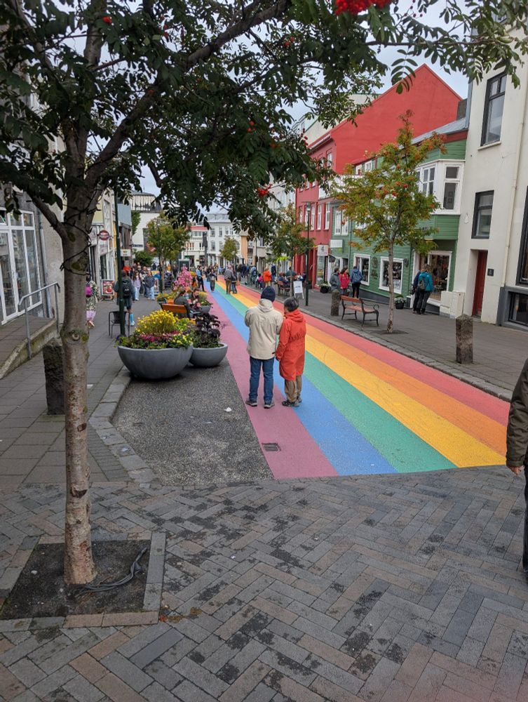 Reykjavik's Rainbow Road