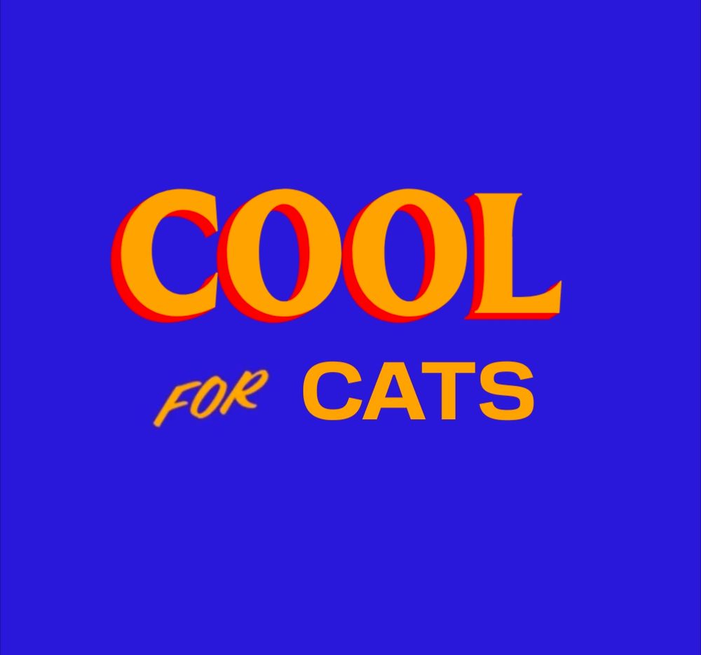 Cool for cats
