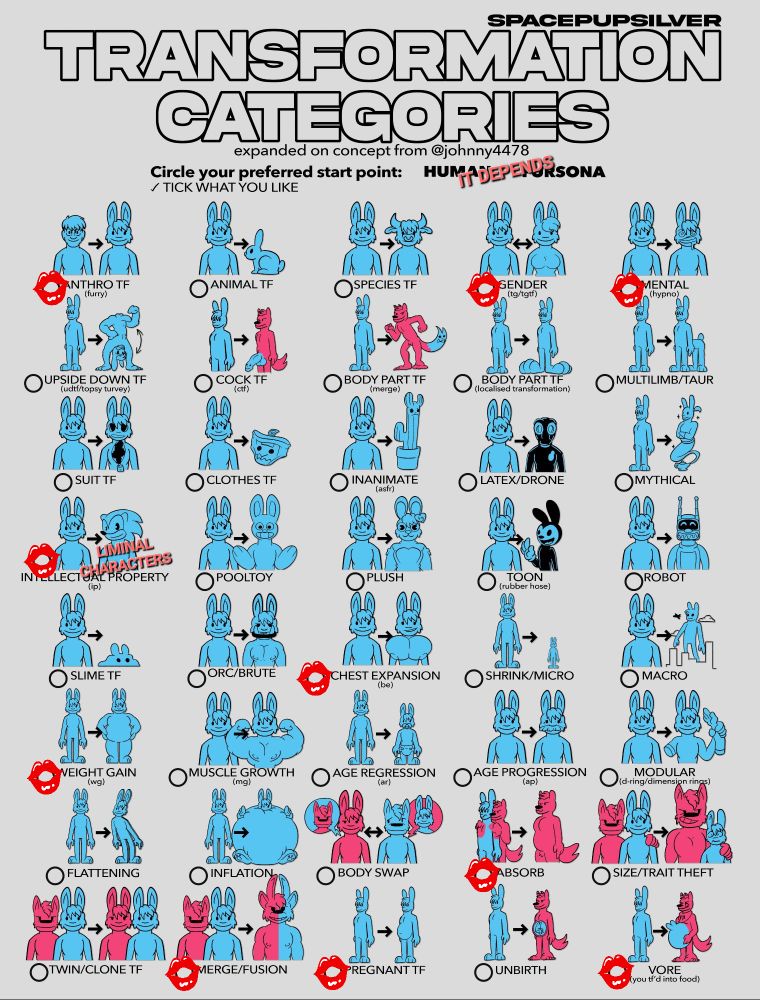 Zevti/Ariana's favorite transformation categories 