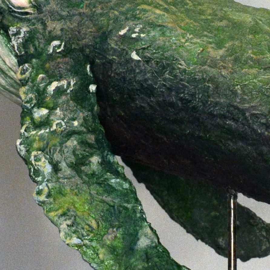 A closeup photo of the surface of a moss green paper mache whale, with barnacles and wrinkled, sea-worn skin.