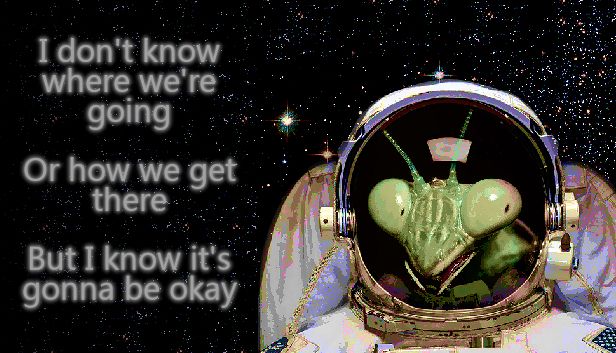 The "protomantis" emote, featuring a humanoid sized praying mantis inside of an astronaut suit and helmet, on a starlit space background.  The text next to it reads "I don't know where we're going or how we get there but I know it's gonna be okay."