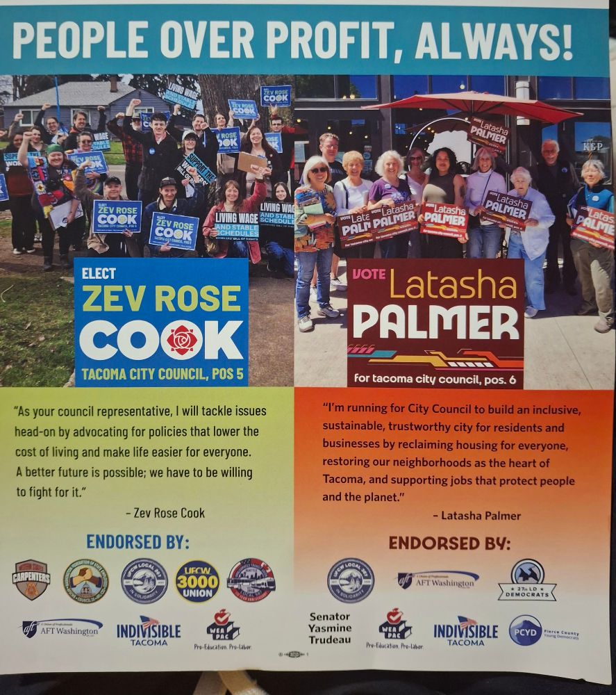 Joint political mailer for Zev Cook (Position 5) and Latasha Palmer (Position 6)