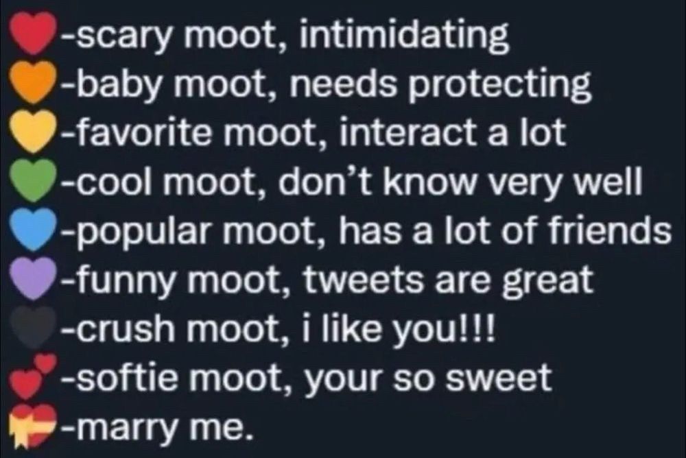 ❤️ -scary moot, intimidating
🧡 -baby moot, needs protecting
💛 -favourite moot, interact a lot
💚 -cool moot, don't know very well
💙 -popular moot, has a lot of friends
💜 -funny moot, tweets/posts are great
🖤 -crush moot, i like you!!!
💕 -softie moot, you're so sweet
💝 -marry me