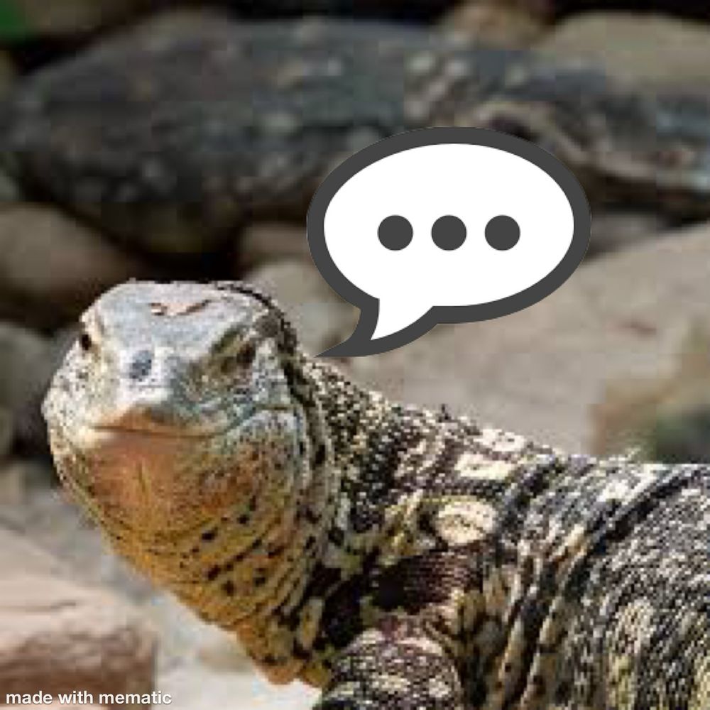 Waran mit Sprechblase 
