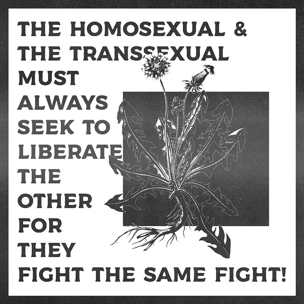 Texte écrit en noir et majuscule : the hommsexual & the transsexual must always seek to liberate the other for they fight the same fight
Texte sur la gauche, dessin en noir et blanc sur la droite / au milieu de pissenlits 