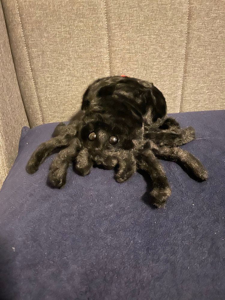 a small black spider plush