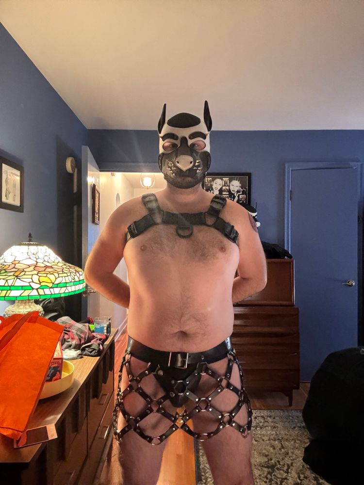 Dashi wearing a leather harness skirt over a rubberized black jockstrap. He’s also wearing his hood and a black bulldog harness.