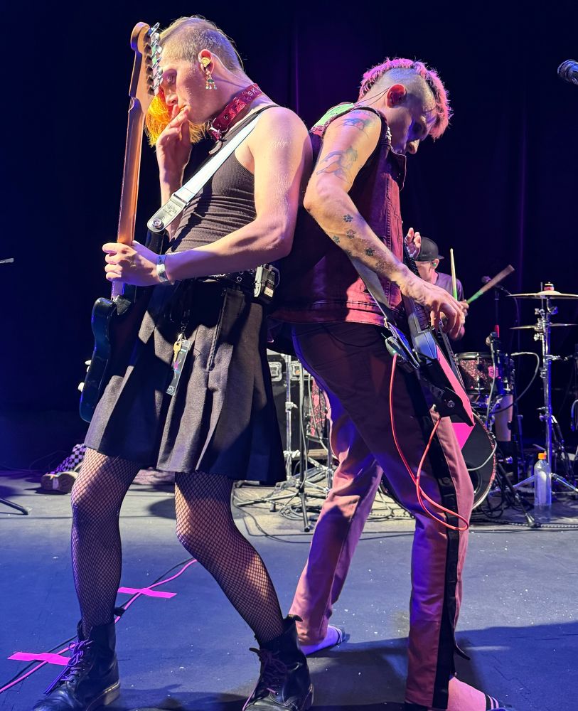 Dog Park Dissidents performing live.