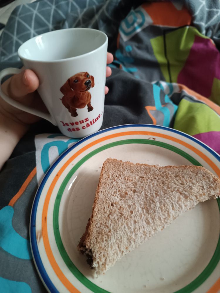 Tartine de chocolat dans une petite assiette plate et café dans un mug avec un petit chien 
