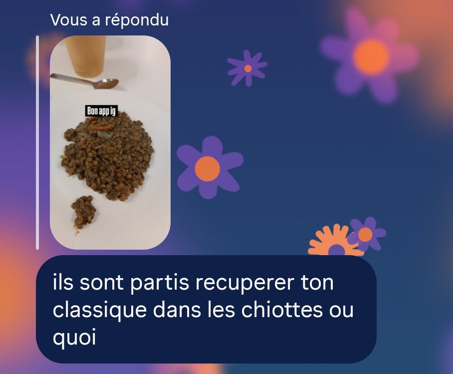 Capture d'écran de conversation avec lena, je lui envoie une photo de mon assiette de lentilles avec le message "bon app ig" et il me répond "ils sont partis récupérer ton classique dans les chiottes ou quoi"