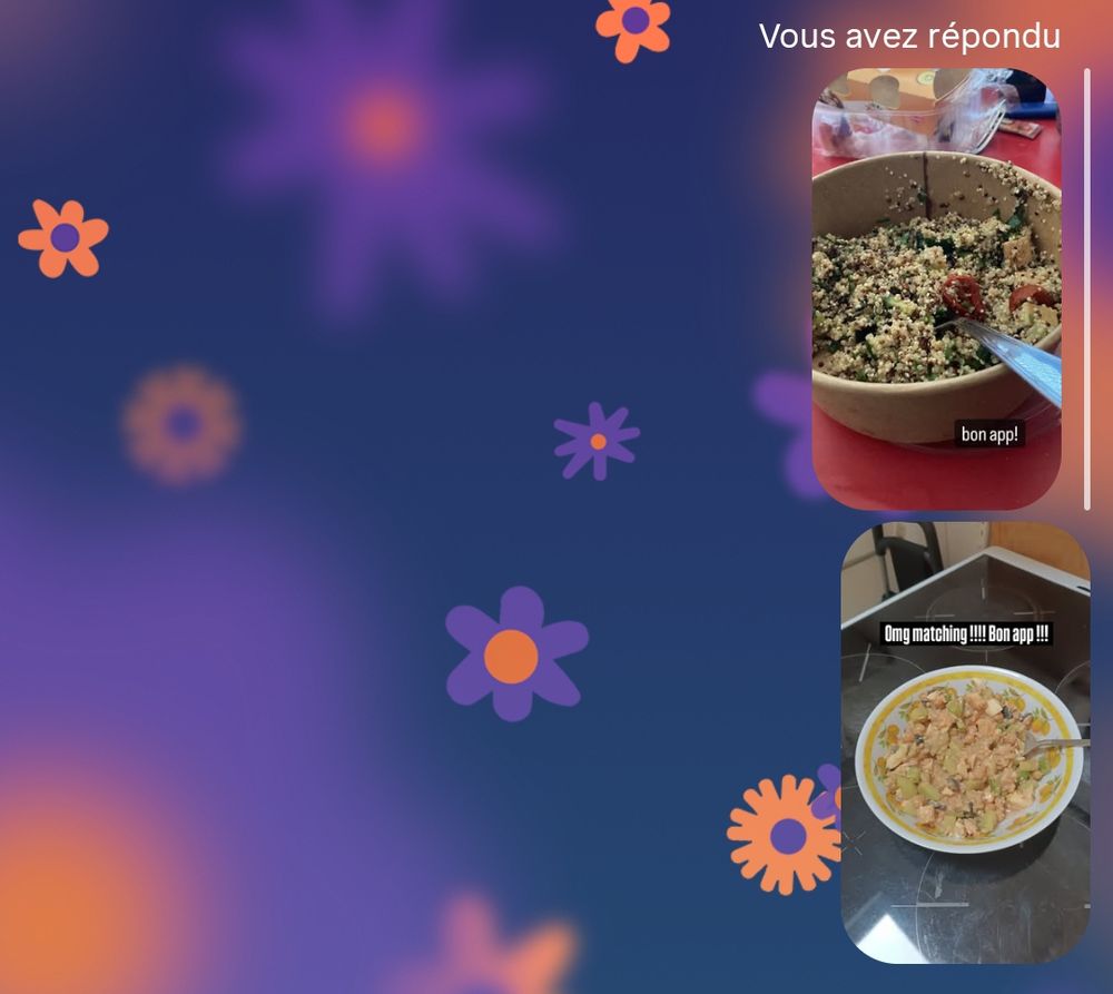 Capture d'écran de ma conversation avec lena, on s'envoie nos photos de repas du midi en même temps 