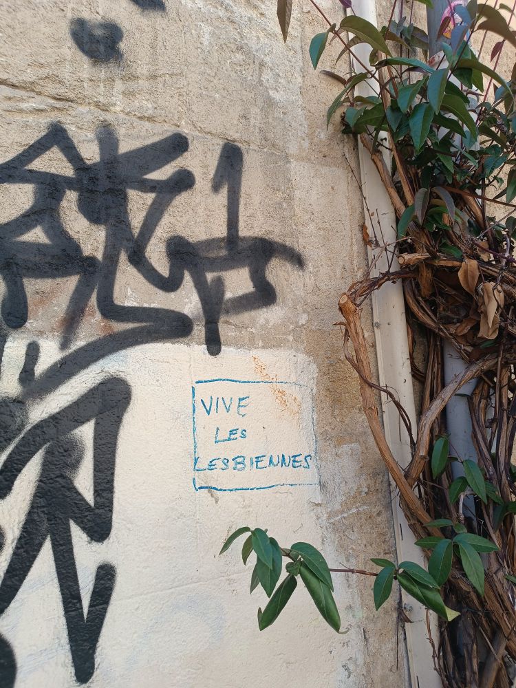 "vive les lesbiennes" écrit en bleu sur un mur dans la rue 