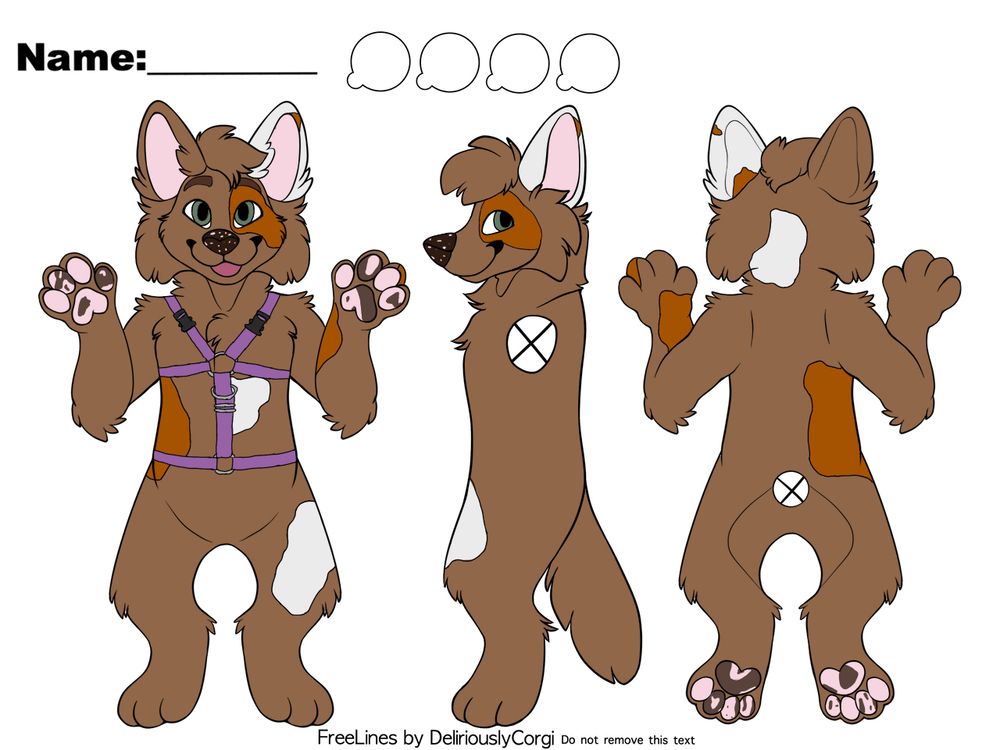 Image shows a template for a fursona reference sheet by DeliriouslyCorgi, filled out to be a dog fursona. It shows 3 positions for reference. The dog is mainly brown, with light grey and ginger splotches. The paws are pink with dark brown splotches. The eyes are green. The dog is wearing a purple harness.