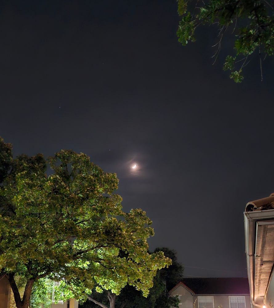 A waning crescent moon in the night sky with a tree in the foreground backlit by a light on a building