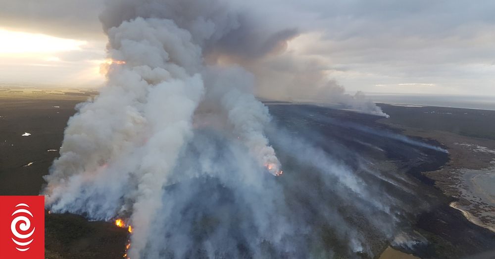 Climate impact of peat soil pushed above BP's fuel sales by huge 2022 blazes