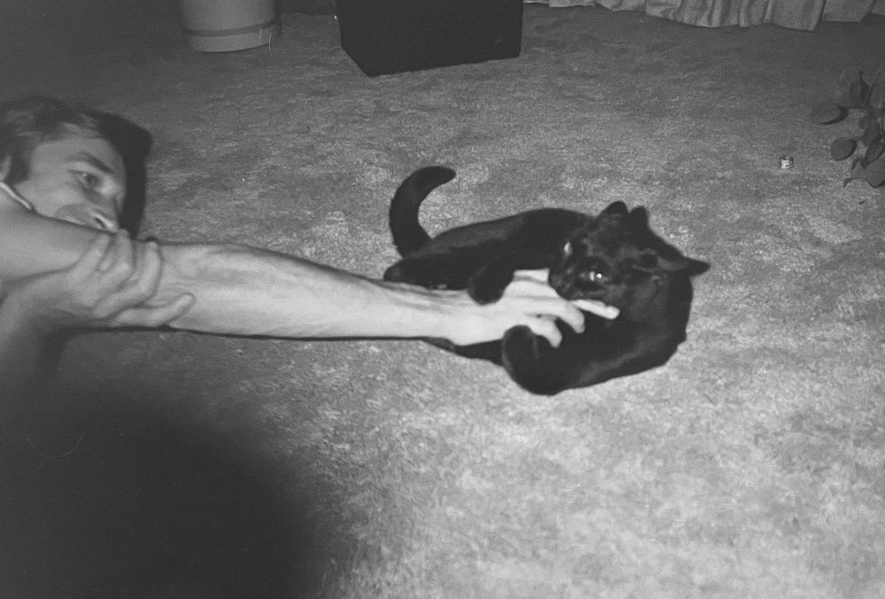 Black-and-white photo of a light skined man laughing while lying on a carpeted floor. He is reaching out one arm to a short haired black cat, which has clamped its paws and mouth down over his hand in an attack.