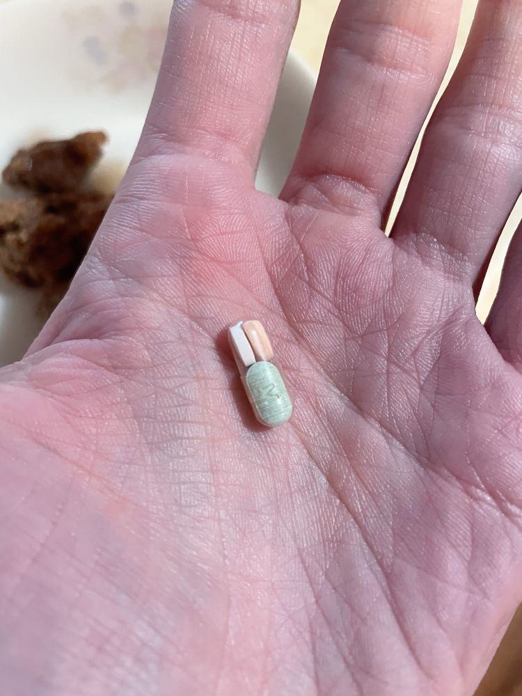 Photo of a white womans palm. In it rests a clear gel capsule with three small multicolored pills inside.