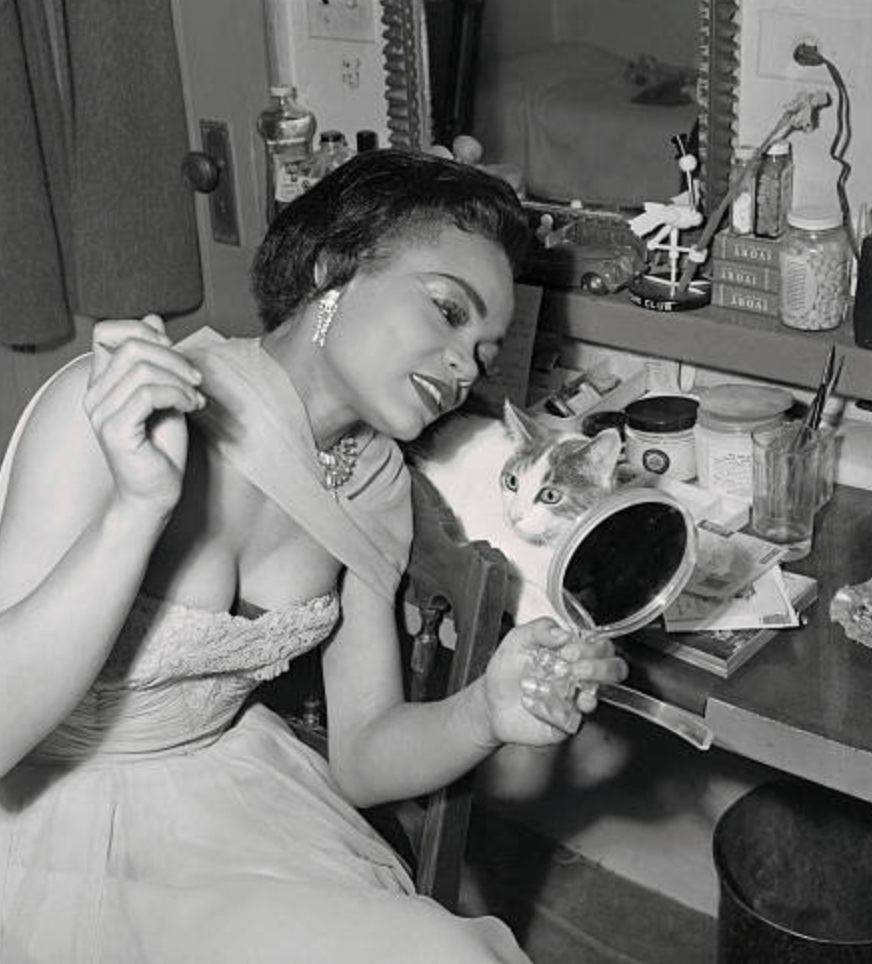 Black and white photo of a stunning black woman in 1950s style gown, sitting at a vanity full of jars of make up and cleaners and whatnot. She looks into a hand mirror while leaning forward toward a shorthaired white and tabby cat so that they can both look into the mirror. The cat looks off to the left and seems a little startled.