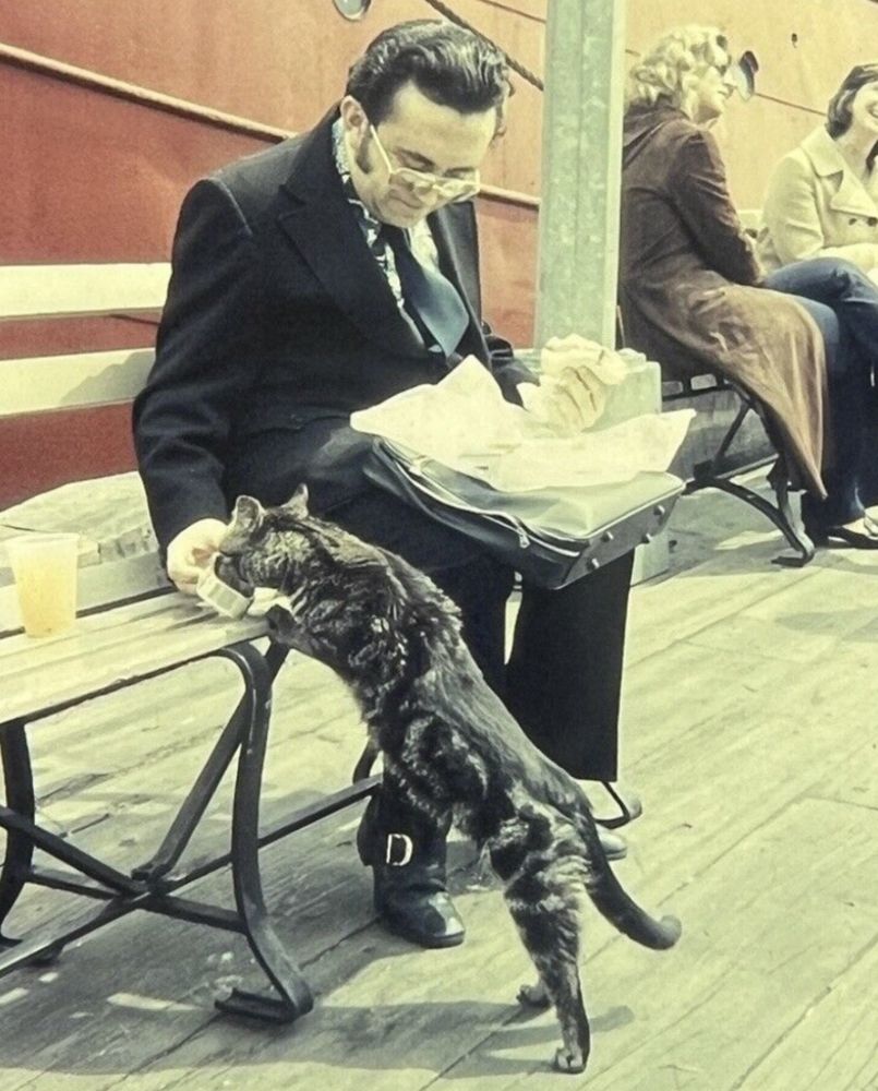 Color photo of a white man in a dark suit, sitting on a bench on a boardwalk or other outdoor wooden space. He's eating lunch on top of a briefcase and has a sandwich in one hand, but hold up a little tin in his other hand for a shorthaired brown tabby cat that is stretching up to reach the bench next to him. It looks like it could have been a sardine tin or something similar. Overall it looks like this man is on his lunch break from work but also giving a treat to a friendly stray. It looks like there is a large red boat in the background.