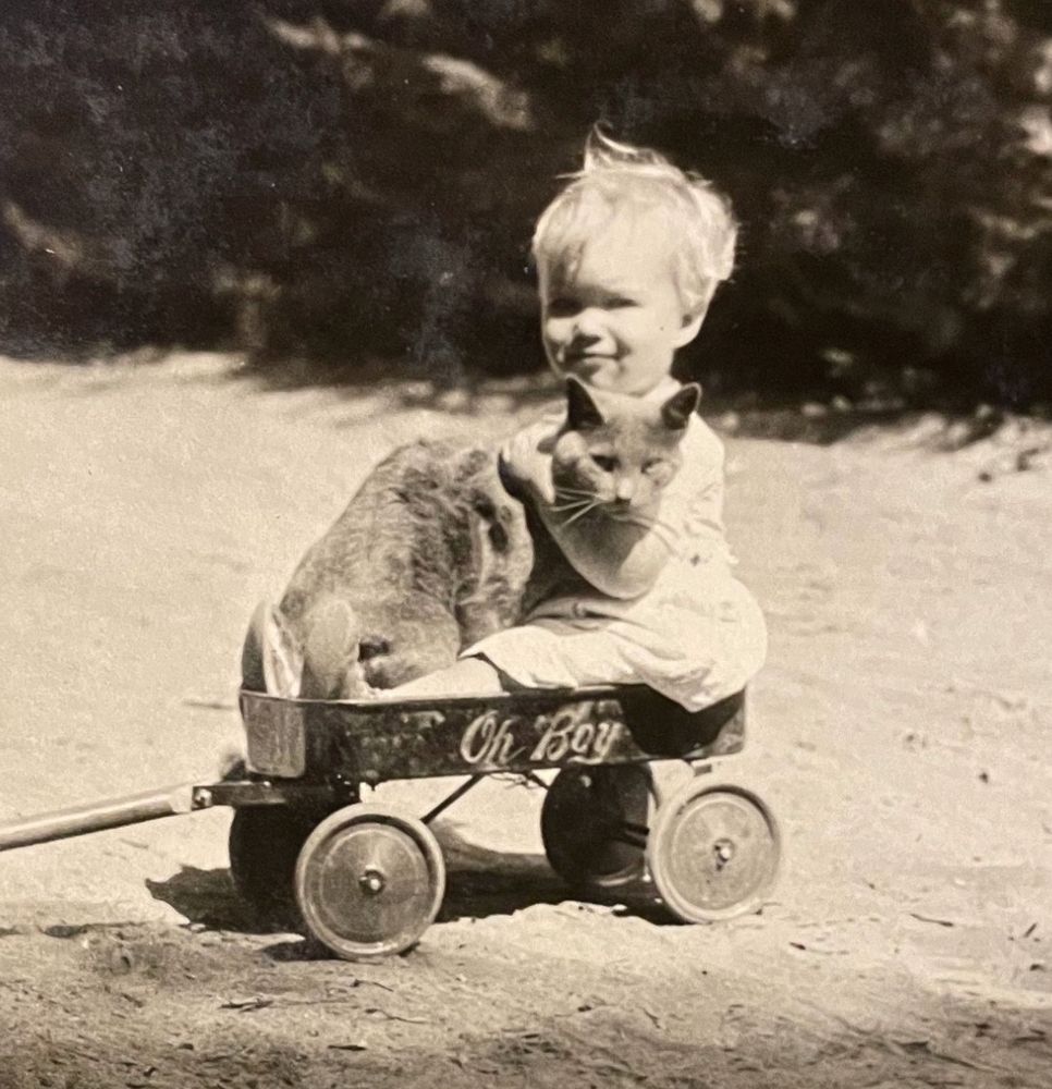 Black and white photo of a blonde, white toddler sitting in a toy wagon with “Oh boy” painted on the side. In the child’s lap they snuggle a shorthaired grey cat and both look at the camera.