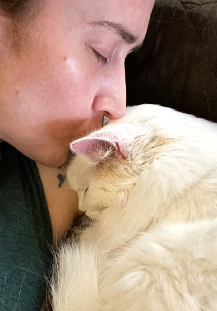 Photo of me (46 year old white lady) kissing the forehead of my fluffy white cat Francie who is curled up asleep against my chest.