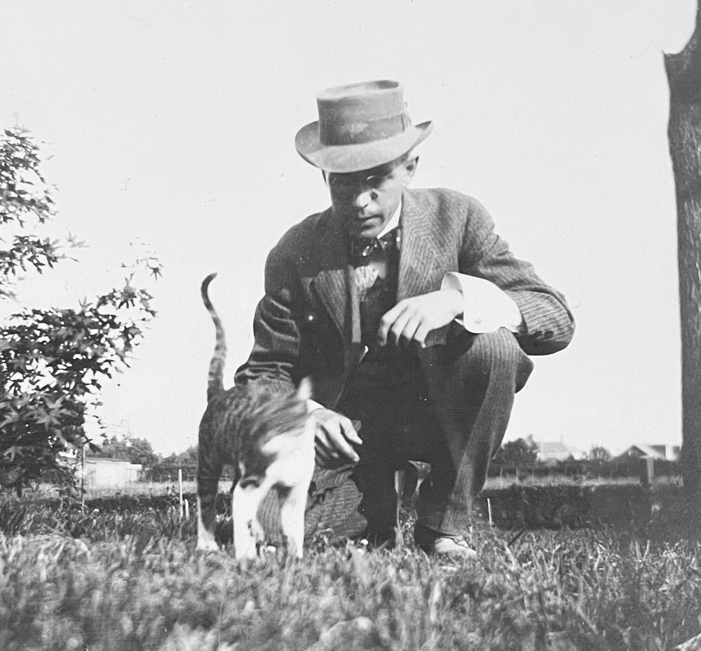 Photo of a man in a suit (possibly the same man from the previous photo) kneeling on grass to admire a shorthaired tabby and white cat.