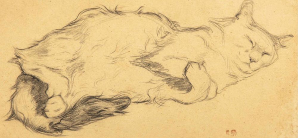 Sketch of an adorable medium haired cat sleeping on its side. Its little feet are curled up adorably in back and its forepaws are loosely crossed in front. Its face has a happy, relaxed expression.