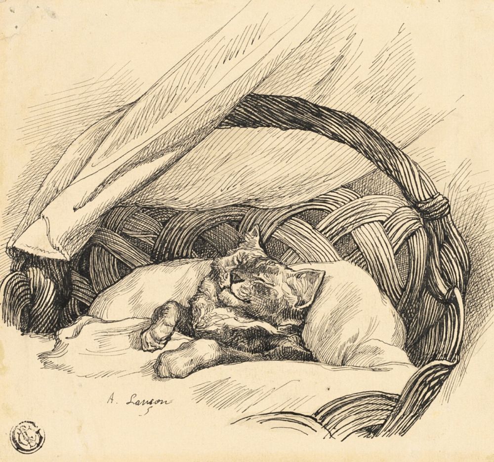 Black ink drawing on off white paper of a very happy looking shorthaired cat sleeping in a handled basket, all tucked in under a blanket as if it was a bed. The cat looks cozy and blissful.