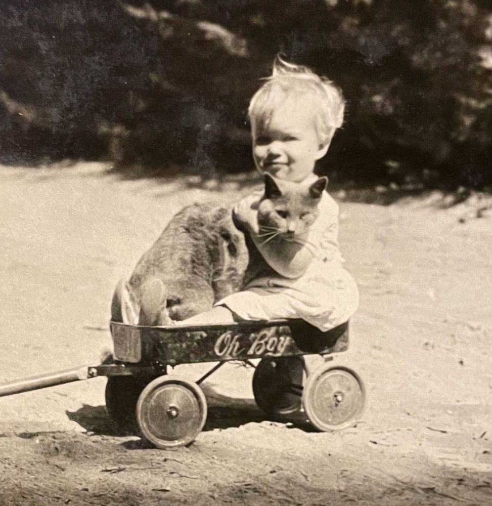 Black and white photo of a blonde, white toddler sitting in a toy wagon with “Oh boy” painted on the side. In the child’s lap they snuggle a shorthaired grey cat and both look at the camera.