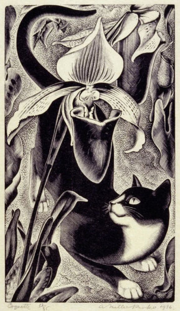Highly detailed black and white wood engraving print of a shorthaired black tuxedo cat crouched amongst some flowers that look like orchid pitcher plants to me but I'm no expert. They have the simple, bold petals of an orchid but with a bulbous pitcher at the bottom like carnivorous pitcher plants. The cat looks slyly and happily up at the largest blossom in the canter of the composition. It is quite stylized with bold, flowing, swirling lines. 