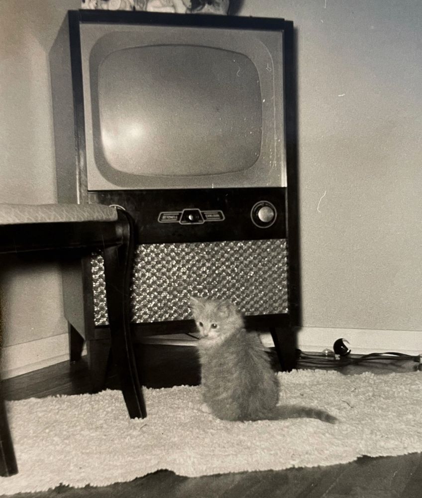 
Black and white photo of a scruffy little longhaired tuxedo tabby kitten, it looks ginger to me. It is sitting close in front of an enormous old television set with its head turned back toward the camera as if waiting for someone to turn the tv on. This is taking place in a living room type setting, the kitten sitting on a throw rug on a wooden floor.